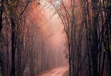 是蒙的还是真射门？托纳利：70%想传中，30%真射门，有运气加持.