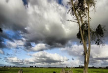 奥尔特加谈未来：一切皆有可能，有时变化来得很快.